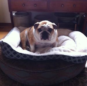 Meet your Posher, Marce